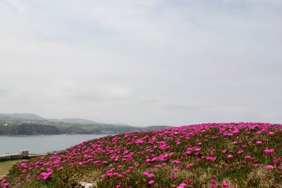 Zona de senderismo Sendero del Dichoso