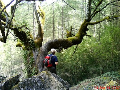 Zona de senderismo Sendero Botánico