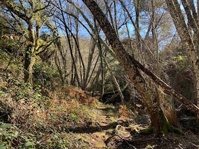 Zona de senderismo CAMINO DE VALDELARCO