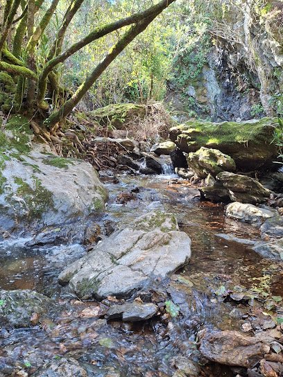Zona de senderismo SENDERO CHARCO MALO