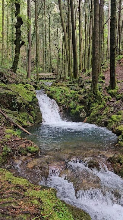 Zona de senderismo Senda do Río Fraga